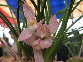 关于好好学的励志说说精选34句