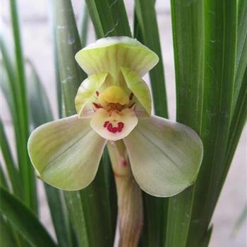 2021抖音最暖心的教师节祝福寄语(精选90条)