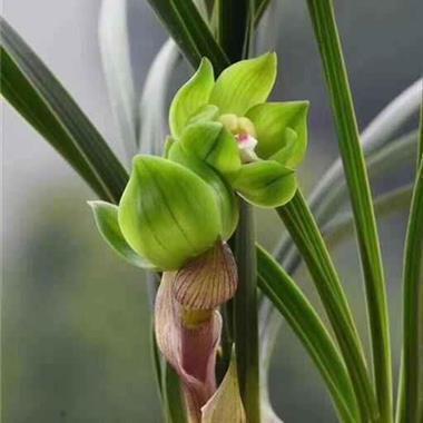 2021年情人节祝福语怎么写