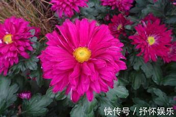 关于唐嫣的qq说说