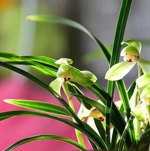 对员工很失望的句子