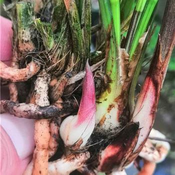 写给心累崩溃的自己 一秒泪崩的句子汇总80句