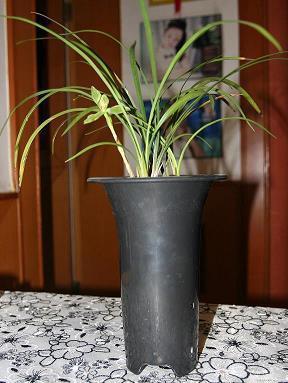 朋友圈关于奋斗的文案