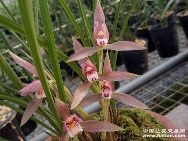 分手后各自安好的句子