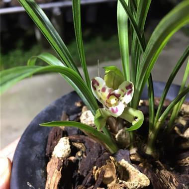 唯美的短句子说说心情