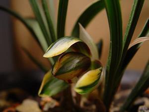 冬至文案温柔短句2021 冬至相关短句文案(精选30句)