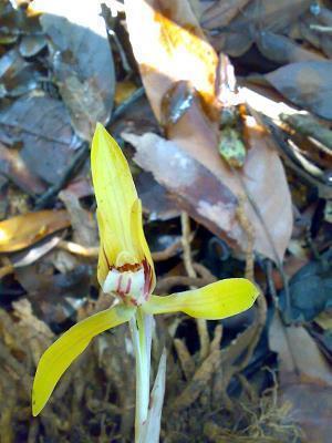 关于晚安的句子66句