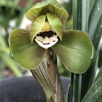 抖音上最火的下雨说说13句