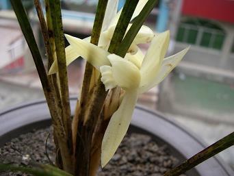 学会感恩教师的句子