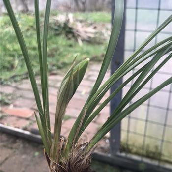 2021建党100周年全新的祝福语