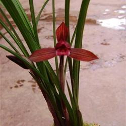 【热门】创业路上的激励语句 抖音创业励志句子汇编81句