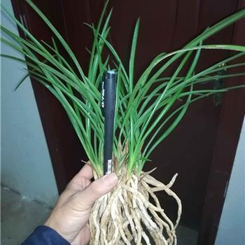 励志超燃的句子2021年