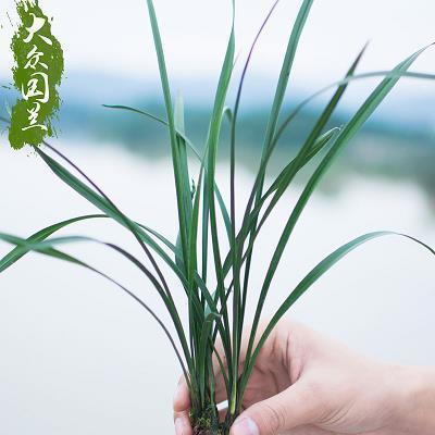 2021小满时节温馨文艺祝福佳句精选58句