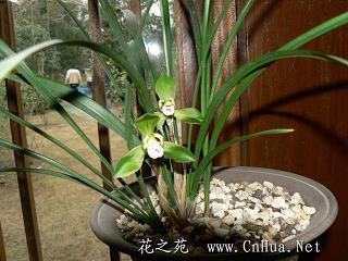 周一发的正能量句子 适合周一发的朋友圈