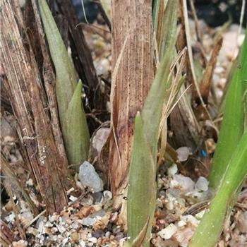 感谢一个人陪伴的说说