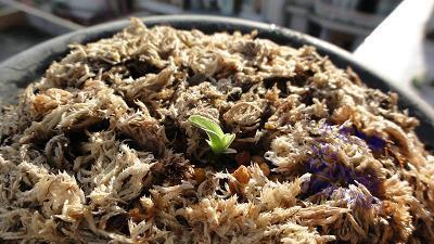 努力奋斗励志的句子男人推荐51句