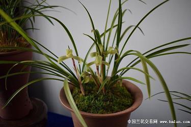 默默不语