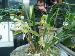 唯美富有诗意的句子