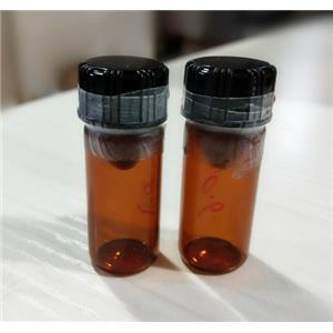 捣虚撇抗