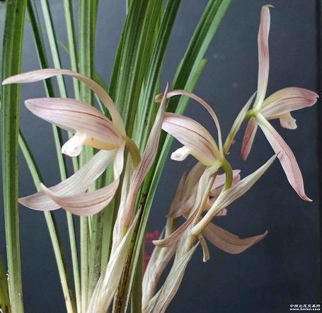 夜晚心酸的句子说说18句