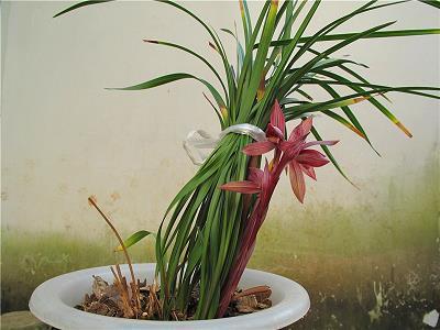 六一儿童节抖音说说88句合集80句
