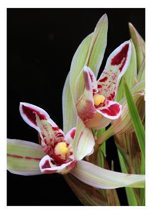 喉咙不舒服怎么发朋友圈