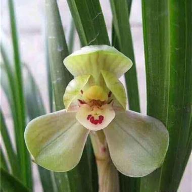 2021三八妇女节早安心语祝福语说说心情短语精选39句