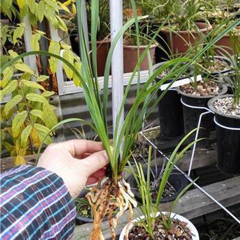 人生路感悟的经典句子 人生路的心情说说