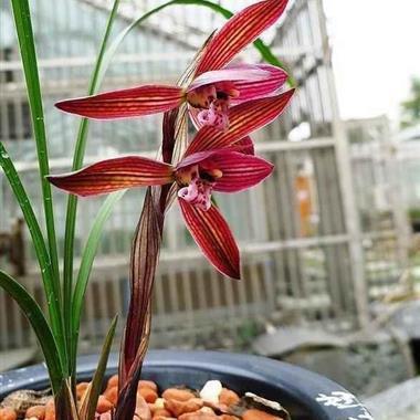 晚上心烦睡不着的说说 什么时候也能换你为我失眠一次