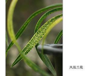 朋友圈动态的说说大全44句