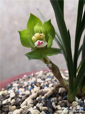 今日冬至说说简短唯美 冬至节气唯美说说大全(精选16句)
