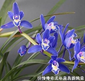 人生金句,句句戳心 适合发朋友圈正能量短句(精选64句)