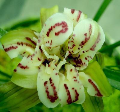 2021腊八节祝福语大全