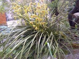 2021朋友圈秋天的第一杯奶茶红包配的文案(精选62条)