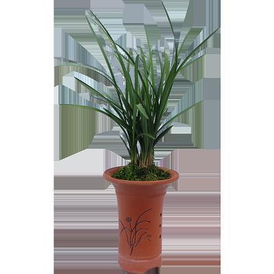 2021感恩节祝福语文案简短精辟(精选67条)