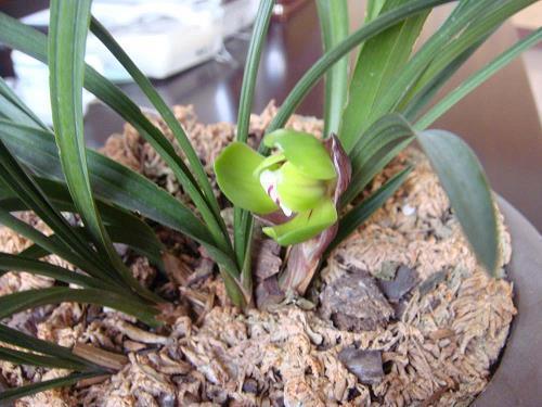 别人必评论的霸气说说48句