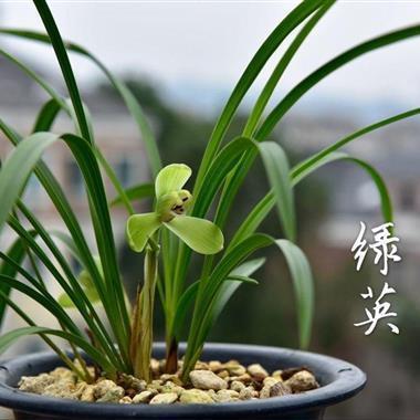 荒怠