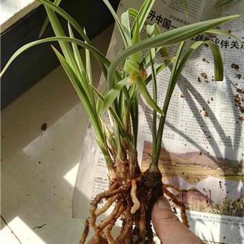 2021伤感的句子92句