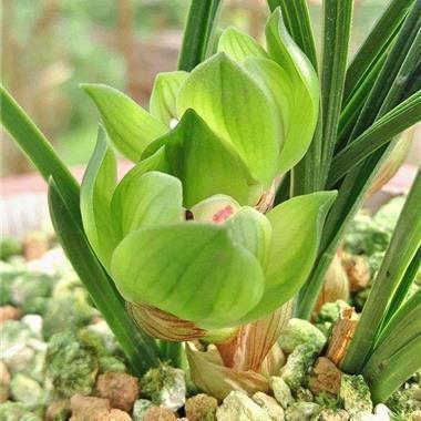 对人感情失望的句子