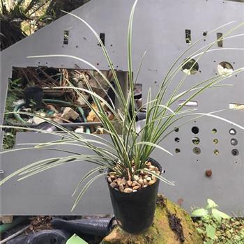 2021陪男女朋友跨年的句子说说