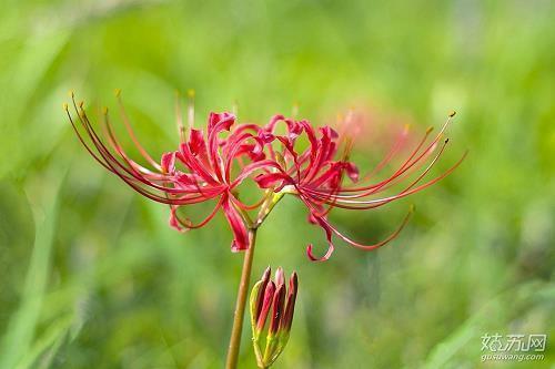 十二月第一天的抖音短句2020 迎接12月的抖音短句经典句子