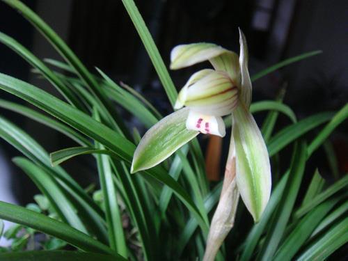 2021三八妇女节微信文案句子71句