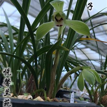 关于感情淡了的说说34句