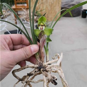 暖心情话短句大全 最新浪漫情话唯美一句子28句