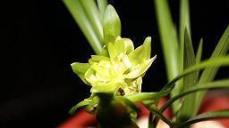 形容内心煎熬的qq说说心情短语