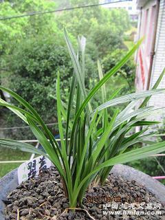 qq空间暖心留言句子85句