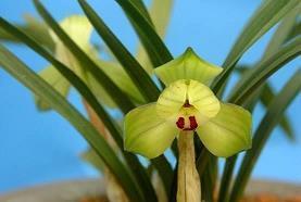 关于起床困难的朋友圈说说(精选22句)