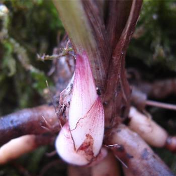 感觉生活很累的说说合集40句