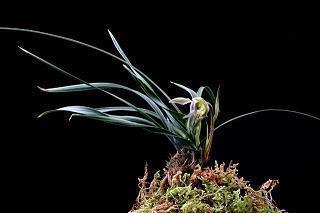 2020教师节祝福语简洁