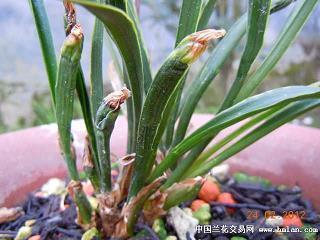 吃饭发朋友圈的句子 吃饭的搞笑说说48句